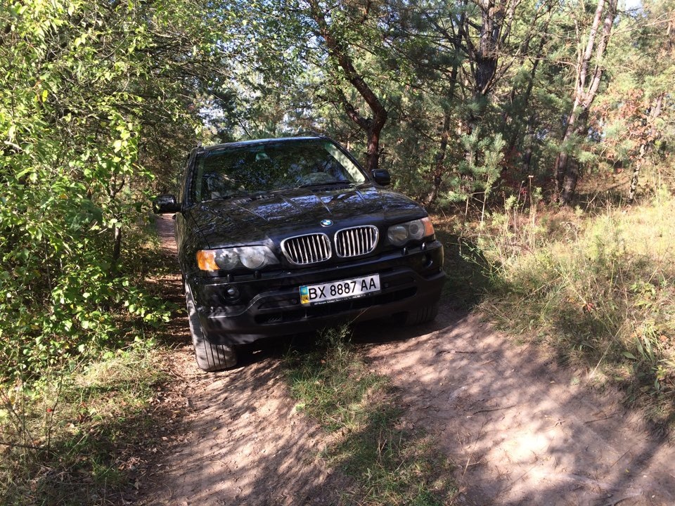 Грибний off-road) 3