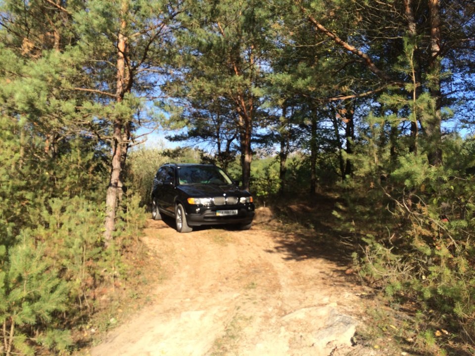Грибний off-road) 2