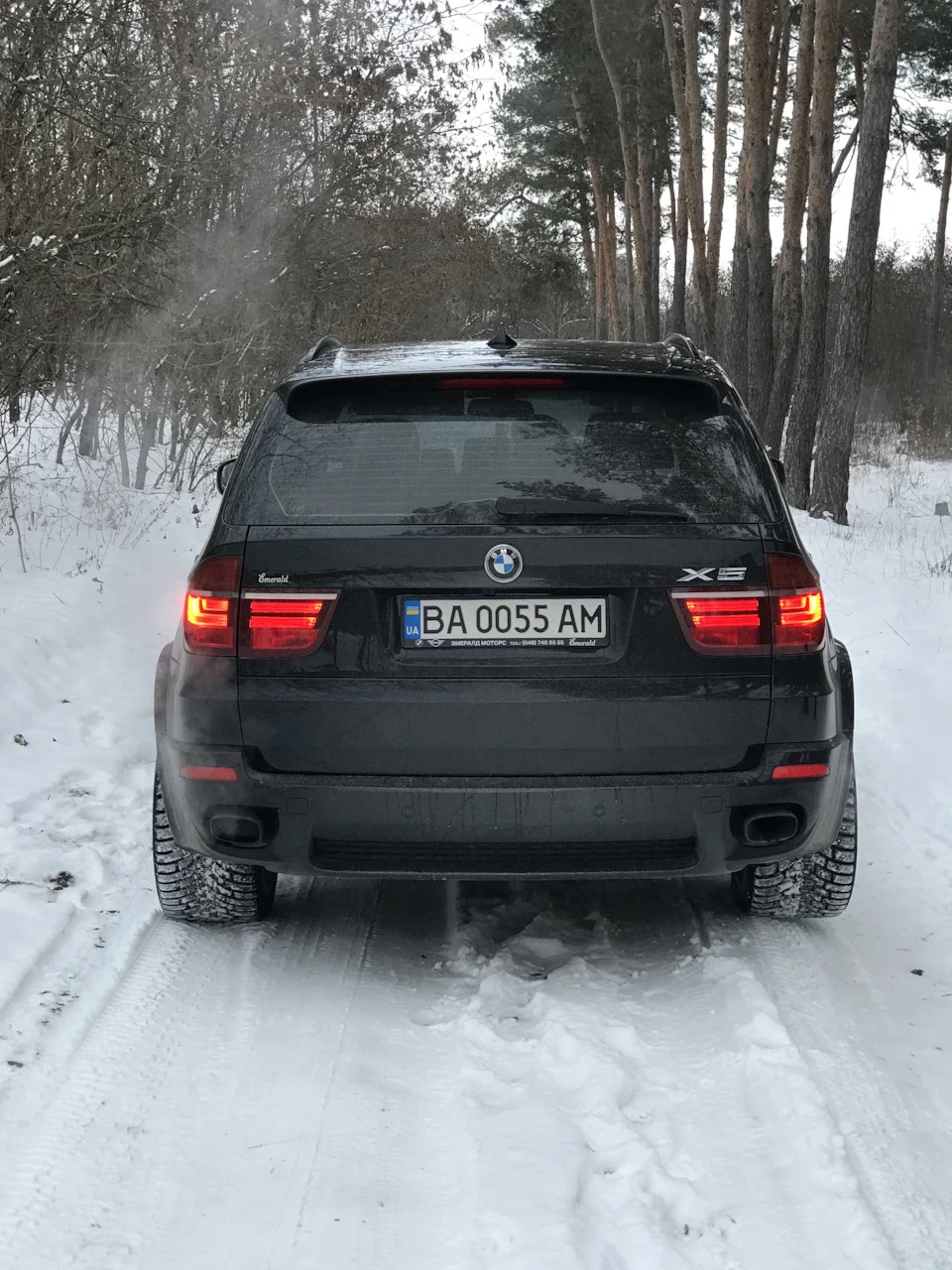 Поки сніг не розтанув