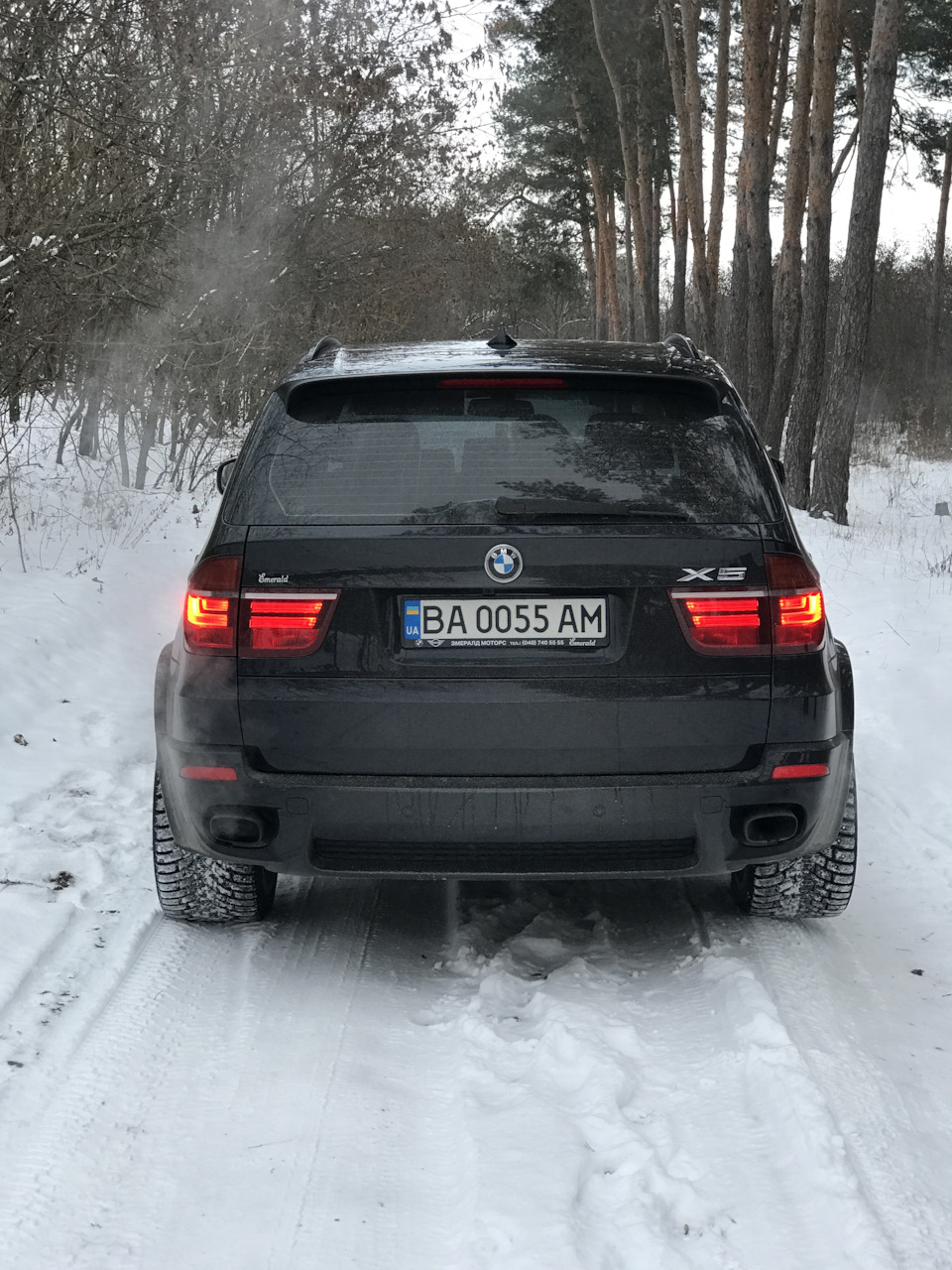 Поки сніг не розтанув 1
