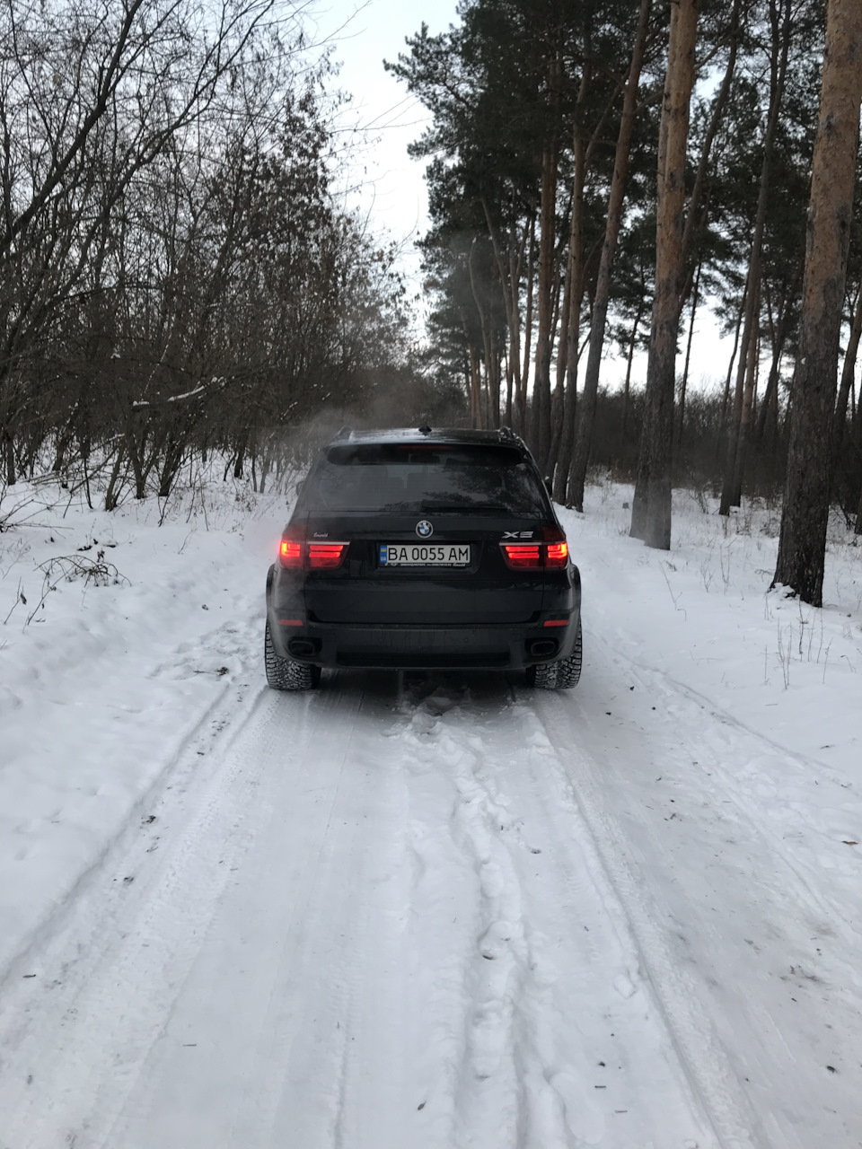 Поки сніг не розтанув 5
