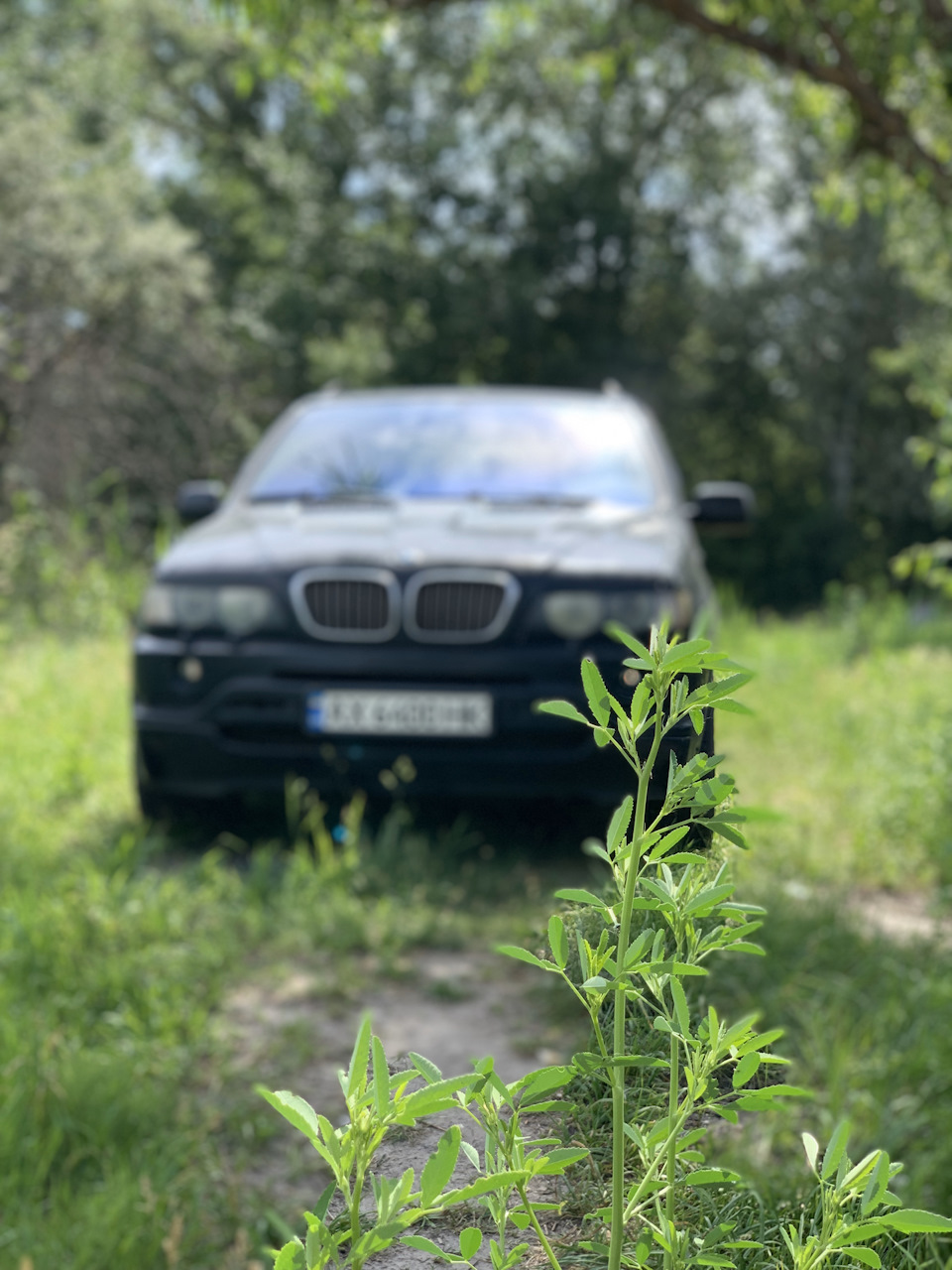 Ну от і все 😢 4