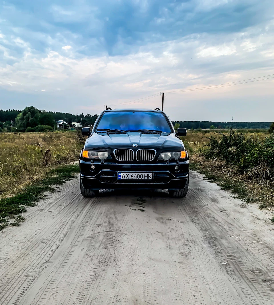 Останні фото з вірним другом 😪