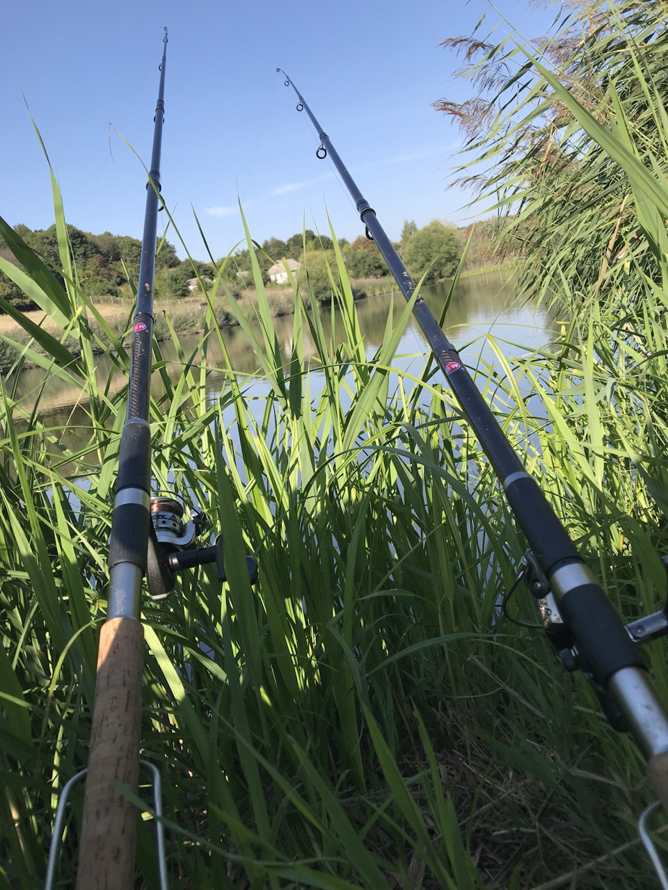 Рибалка 🎣 🐠 🐟 4