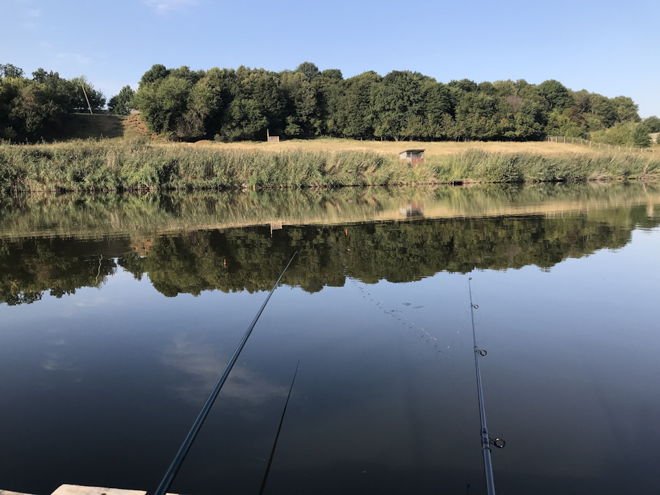 Рибалка 🎣 🐠 🐟 5