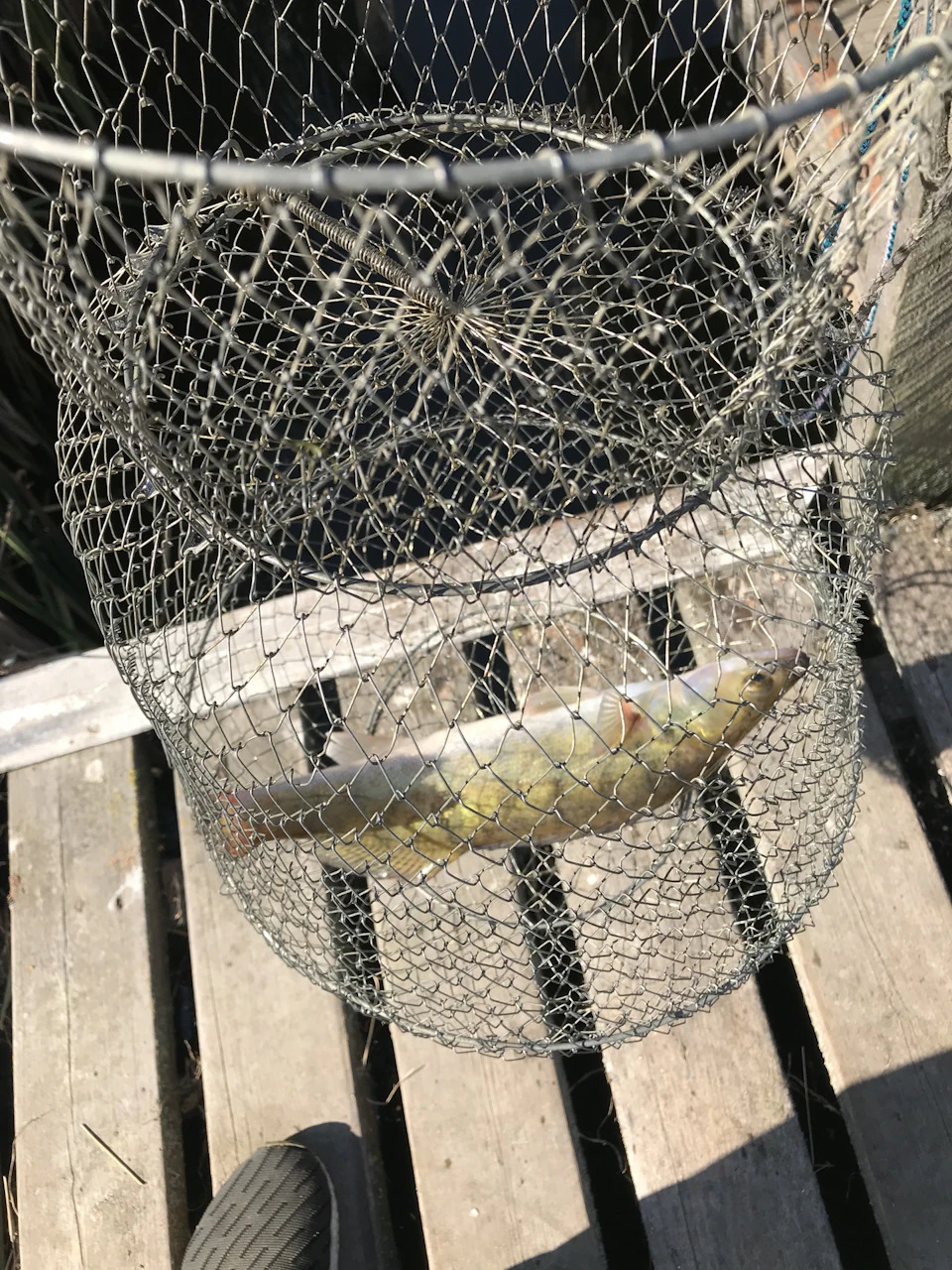 Рибалка 🎣 Спонтанна поїздка