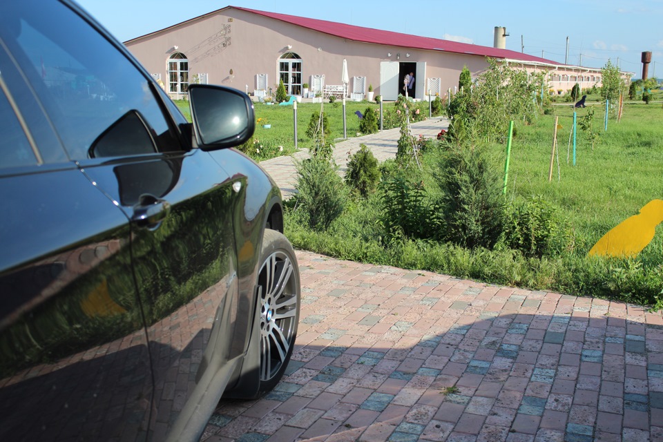 X6 M Sport Edition на природі. 2