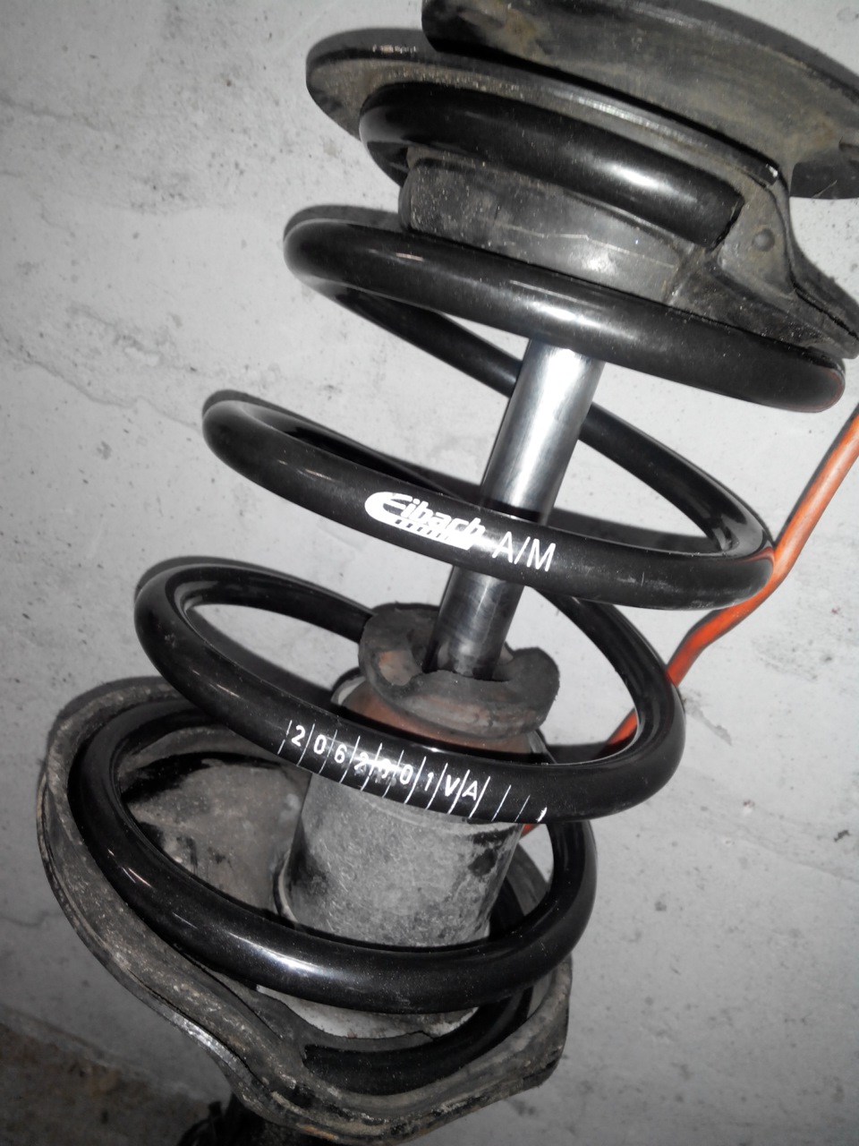 Eibach Springs Z3 roadster 5
