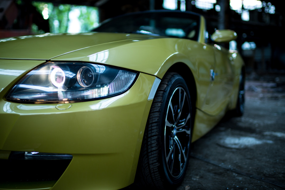 Photoshoot #1 Bumble Bee. 2