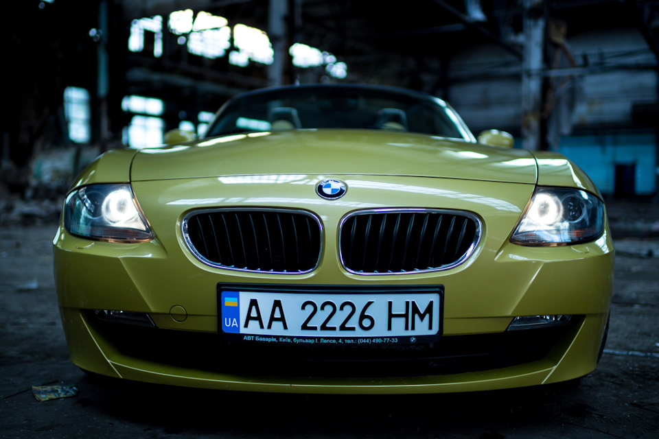 Photoshoot #1 Bumble Bee. 4