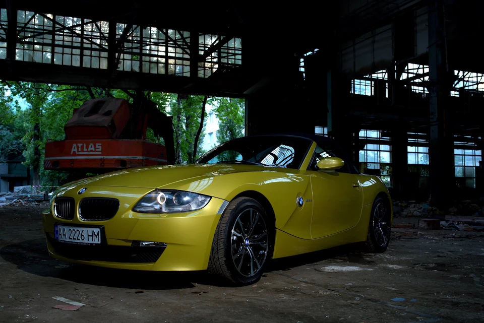 Photoshoot #1 Bumble Bee.