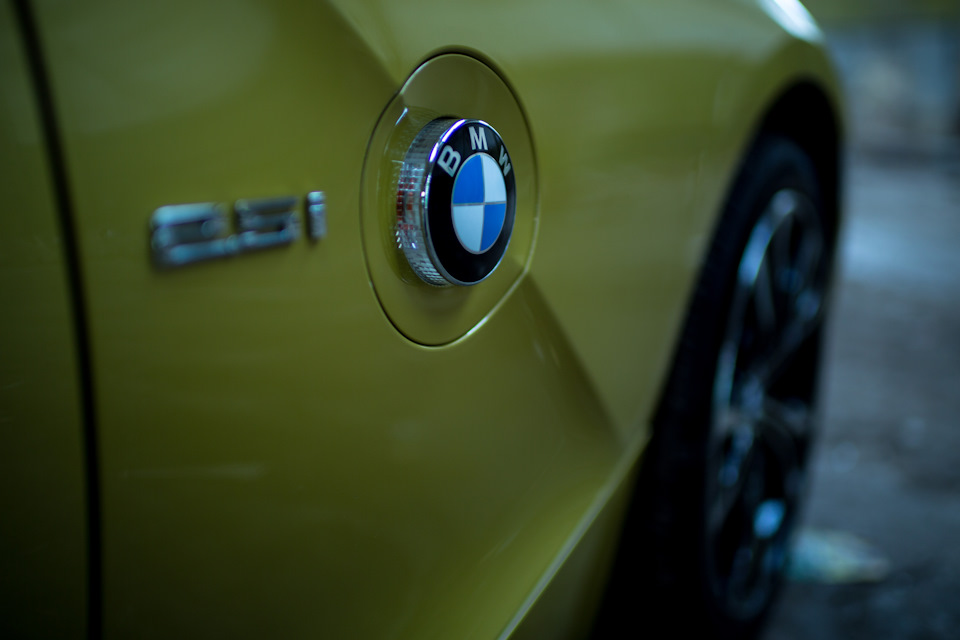Photoshoot #1 Bumble Bee. 5