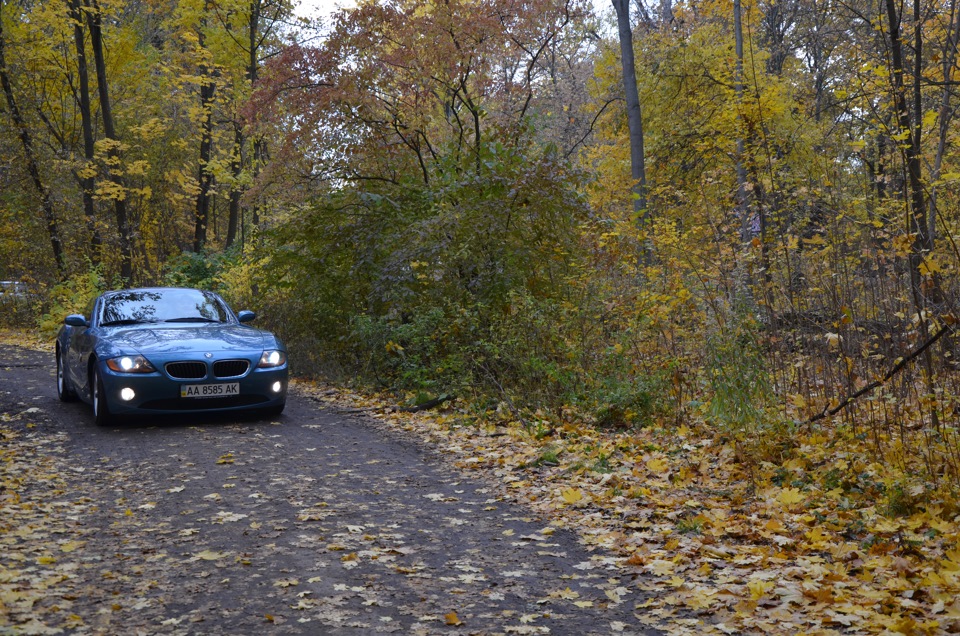 Z осінь 2