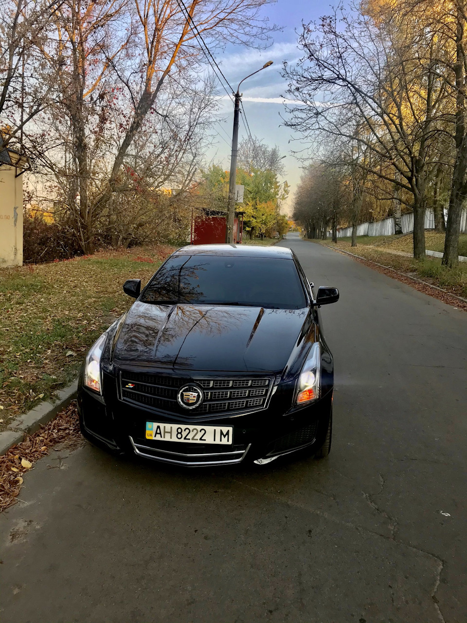 Тонування 1