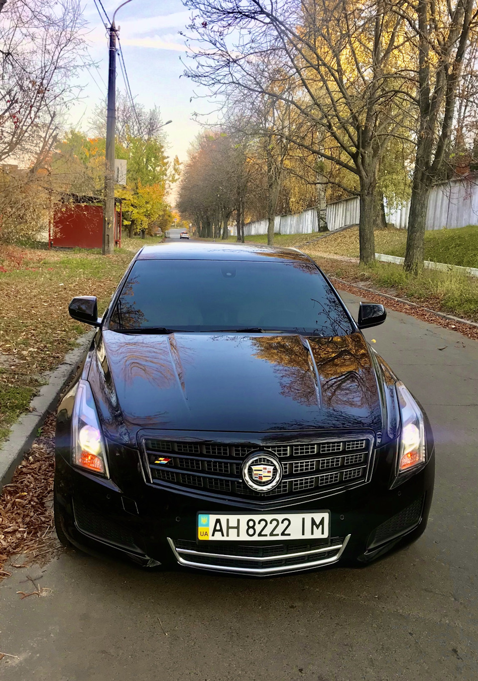 Тонування 2