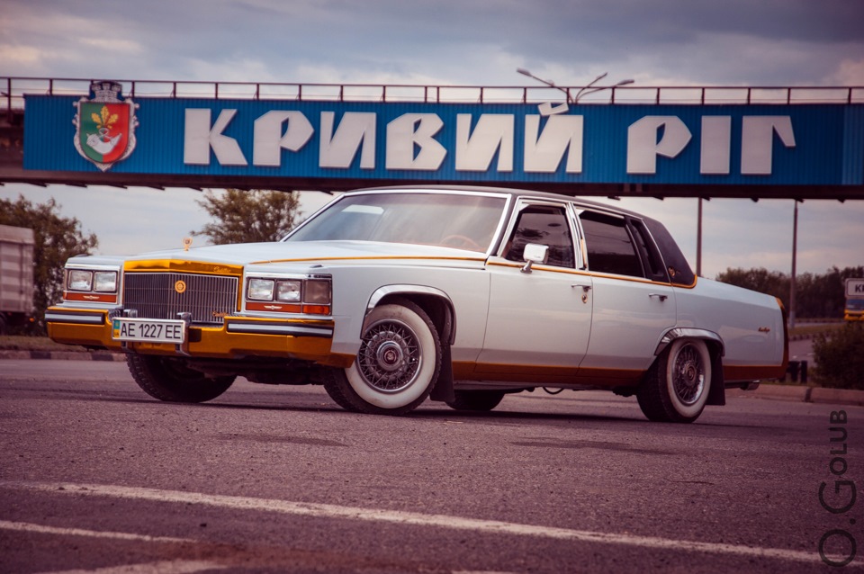 Давно нічого не писав про крокодила... 3