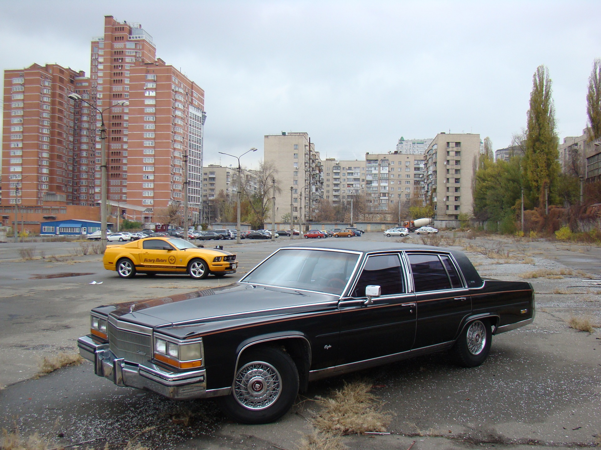 Фото: Cadillac + Блондинка + Mustang 1
