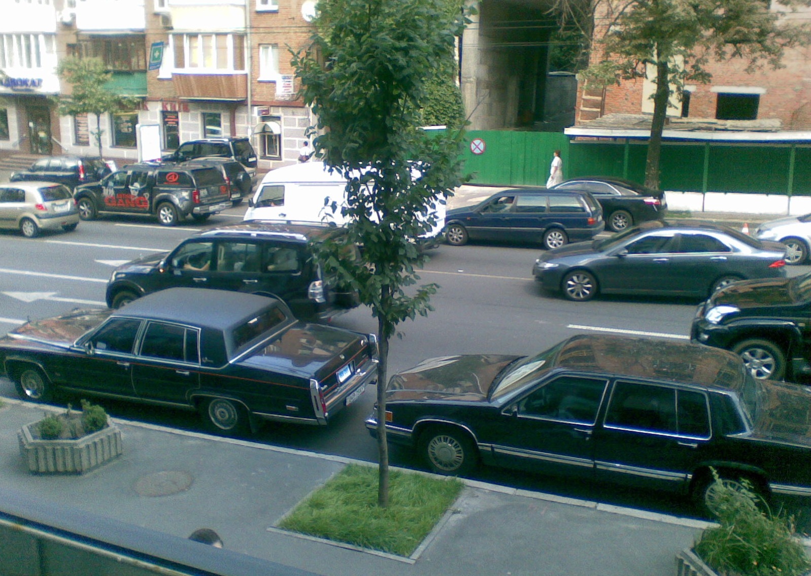 Трохи фото з телефону 1