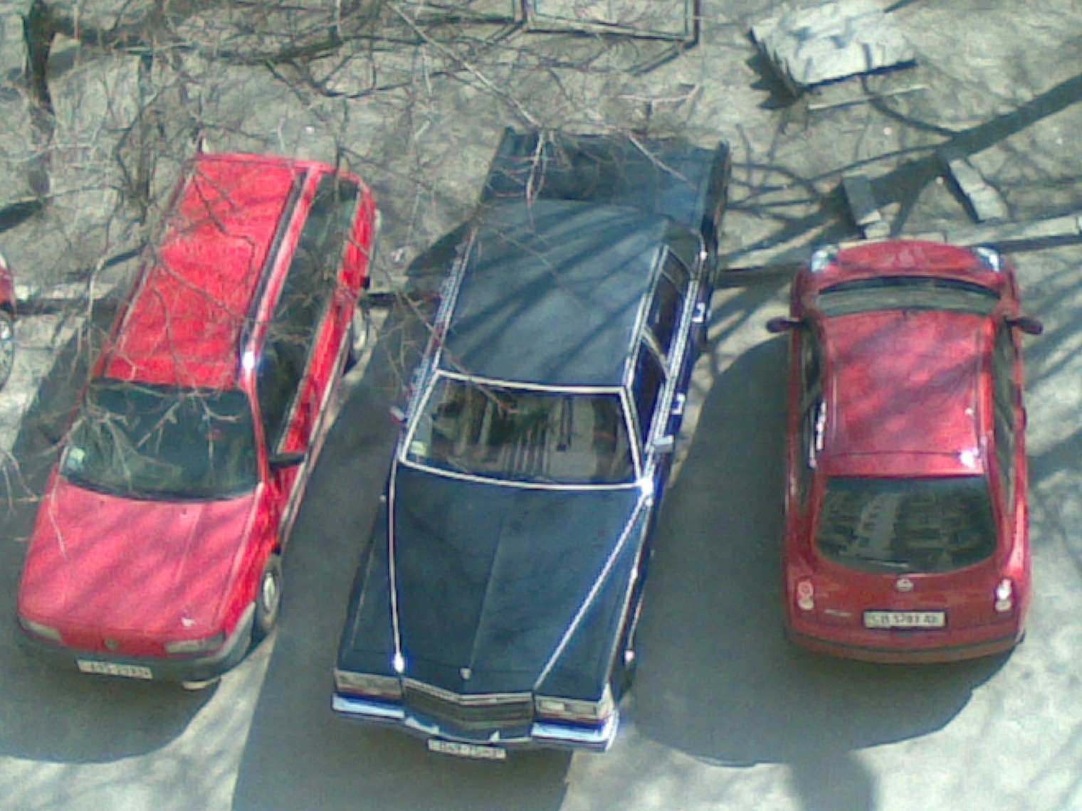 Трохи фото з телефону 5