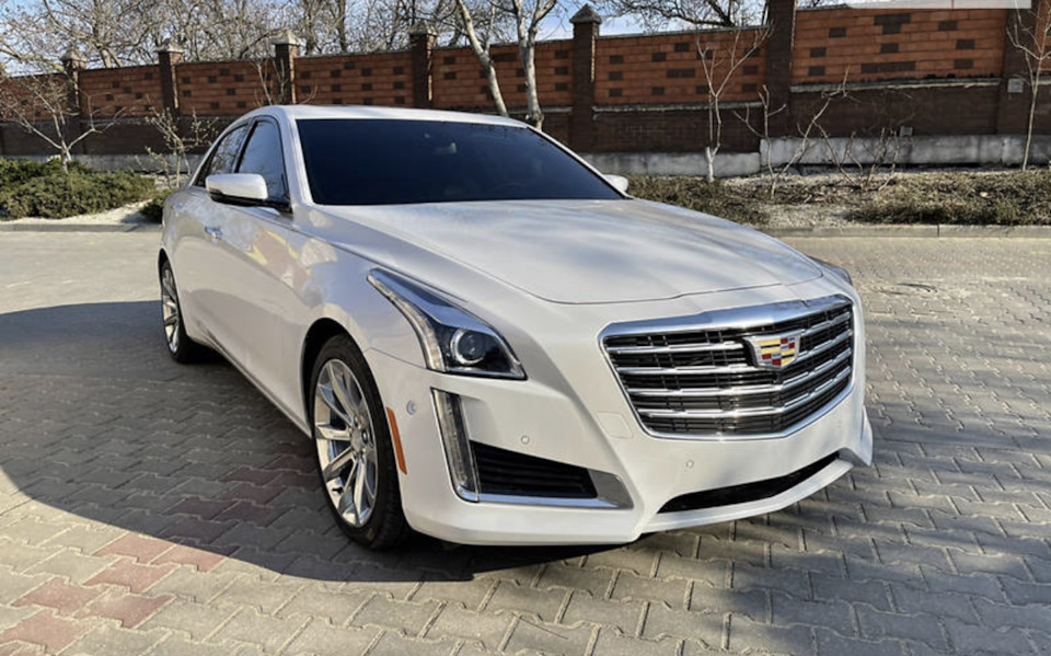 Мордашка під маскою CTS 1