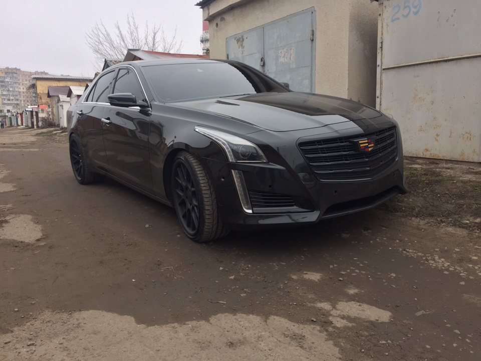 Фото vossen 1