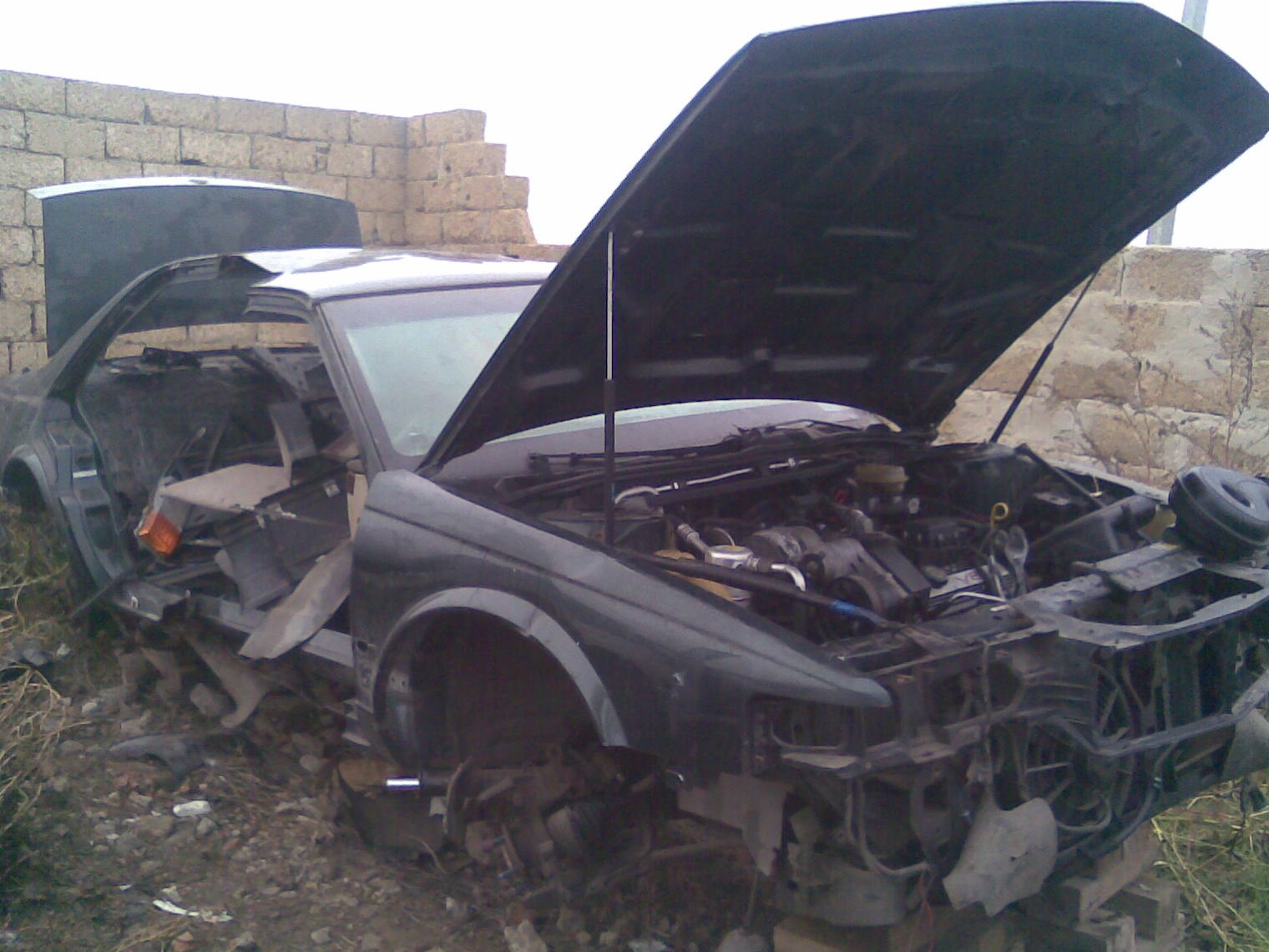 Донор 1