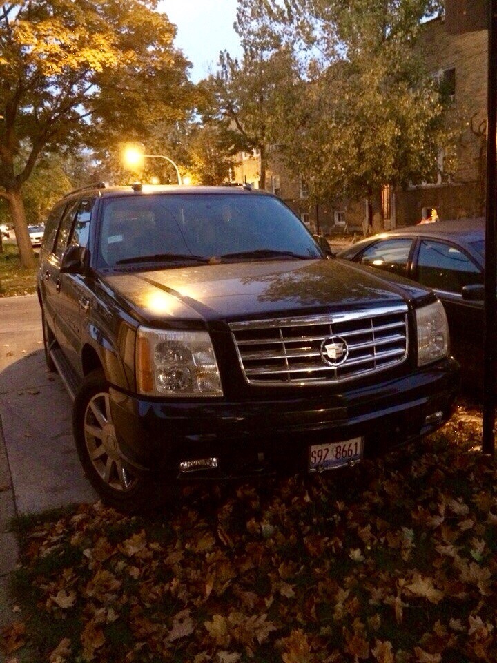 Caddy та місто гангстерів 2