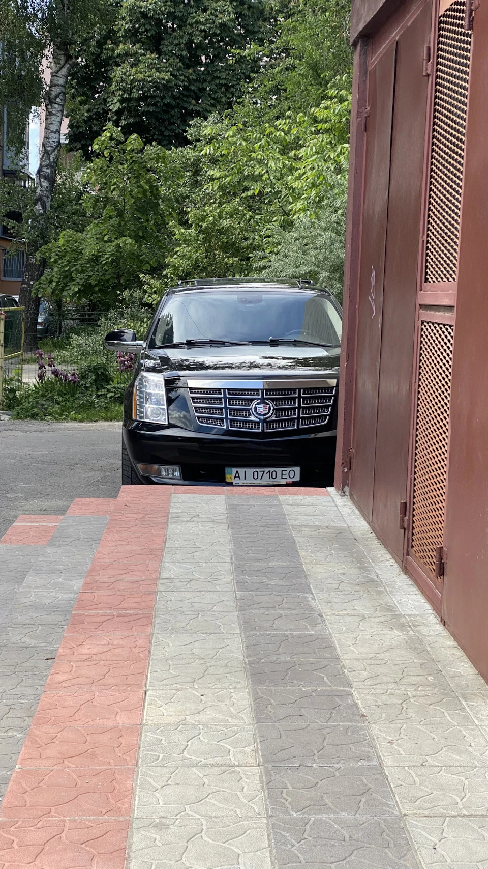 Як я катаю Весілля (без слів 😊)