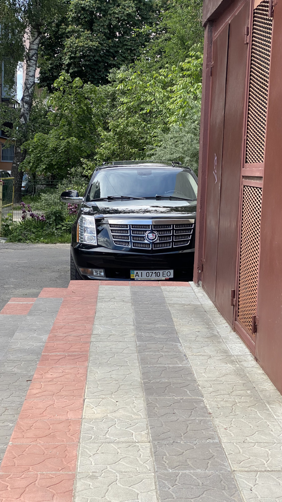 Як я катаю Весілля (без слів 😊) 1