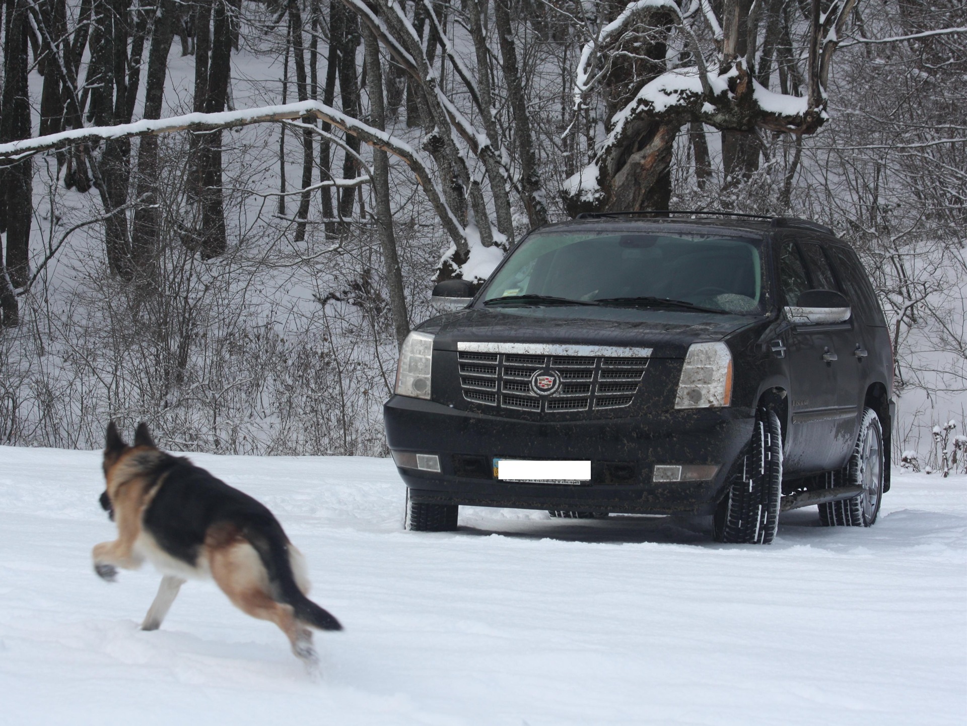Escalade підкорювач кримських гір 1