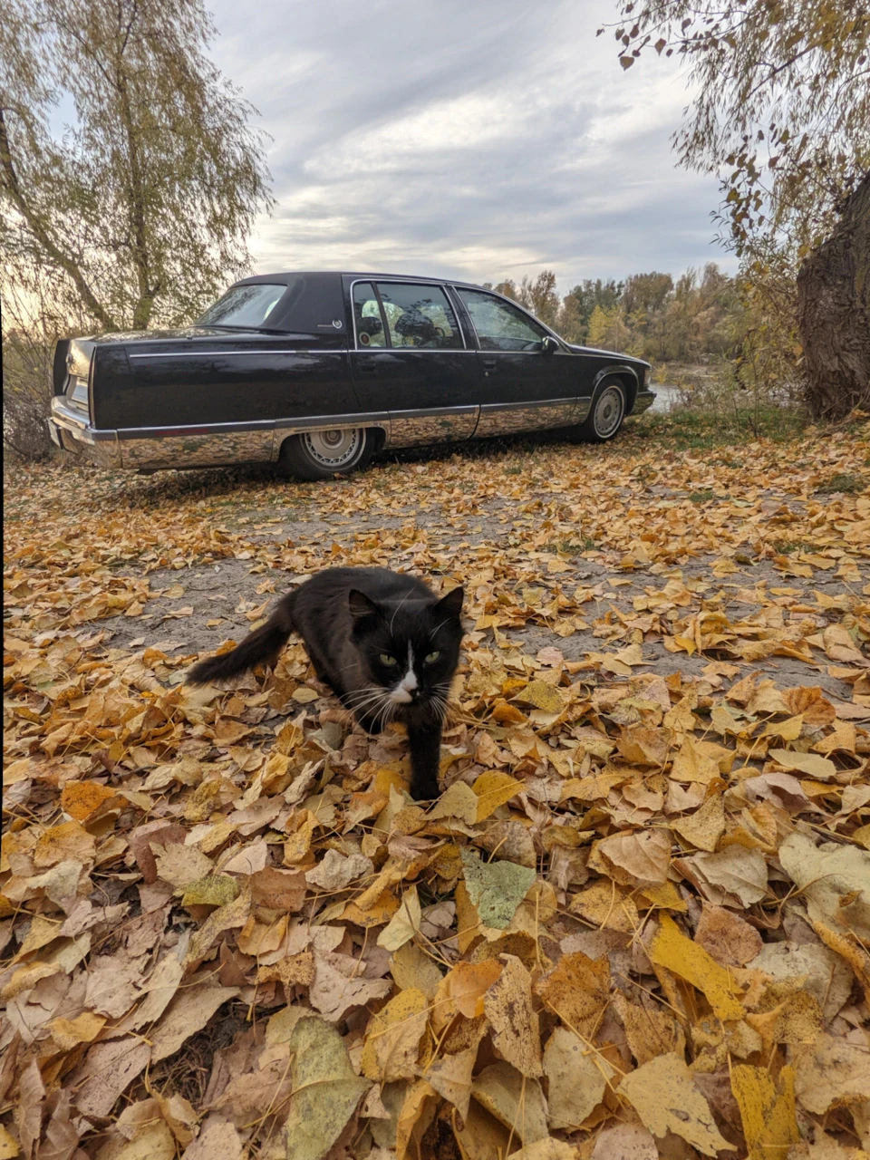 Осінні фотосесії
