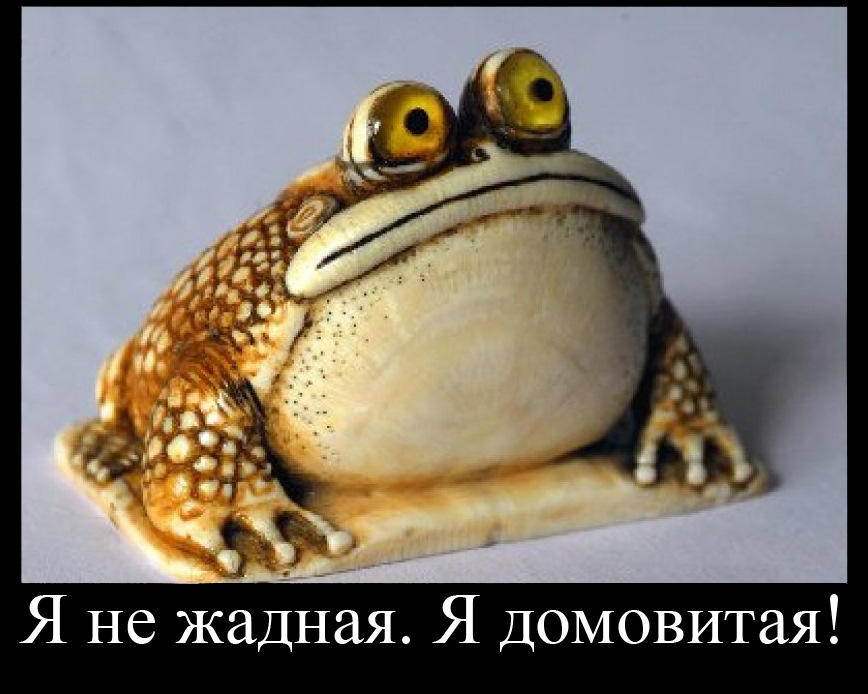 #скоролето_жеж 3