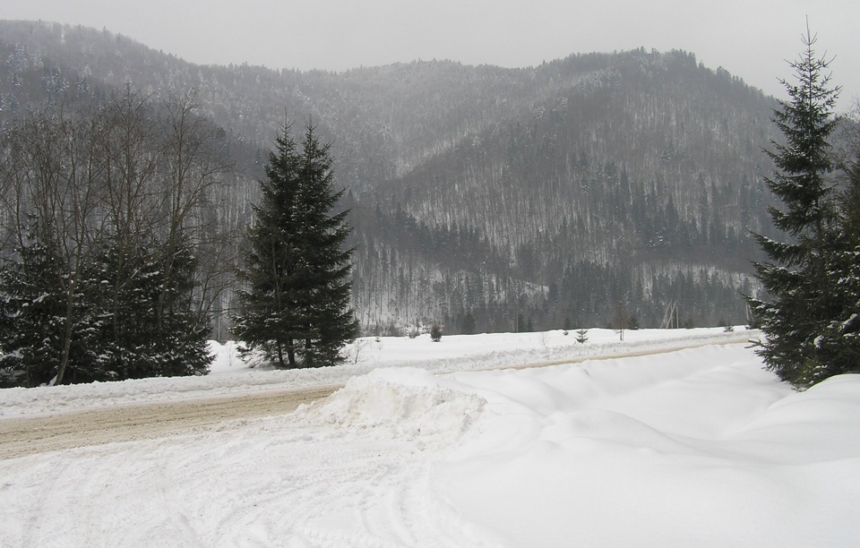 Карпати 2012 3