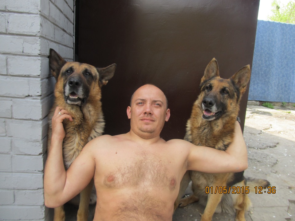 Любимо - тому що ми їх любимо ... 3