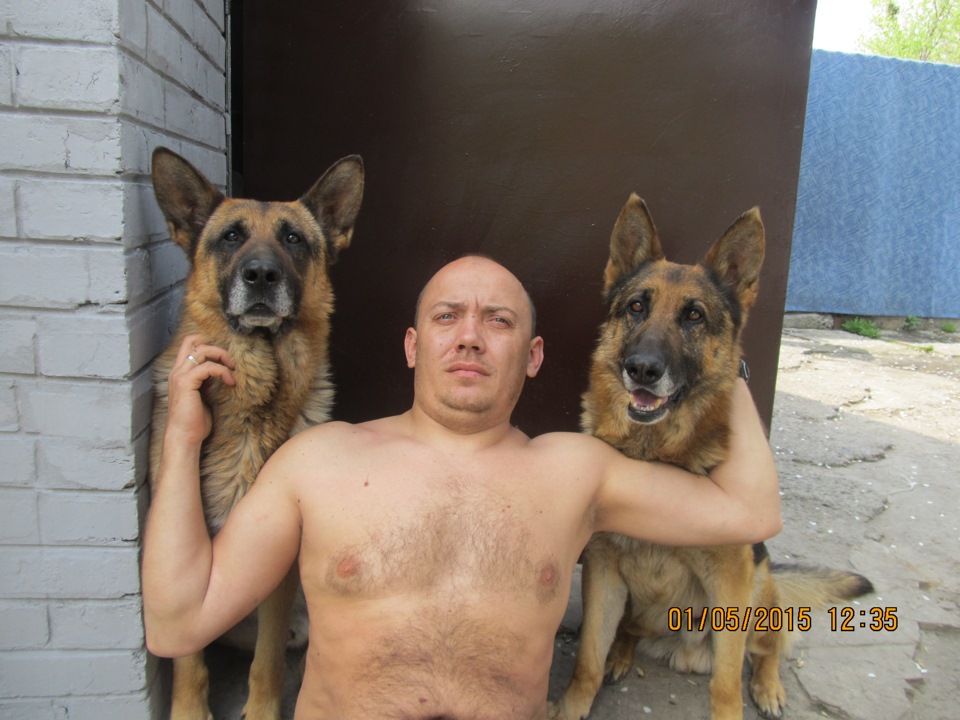 Любимо - тому що ми їх любимо ... 2