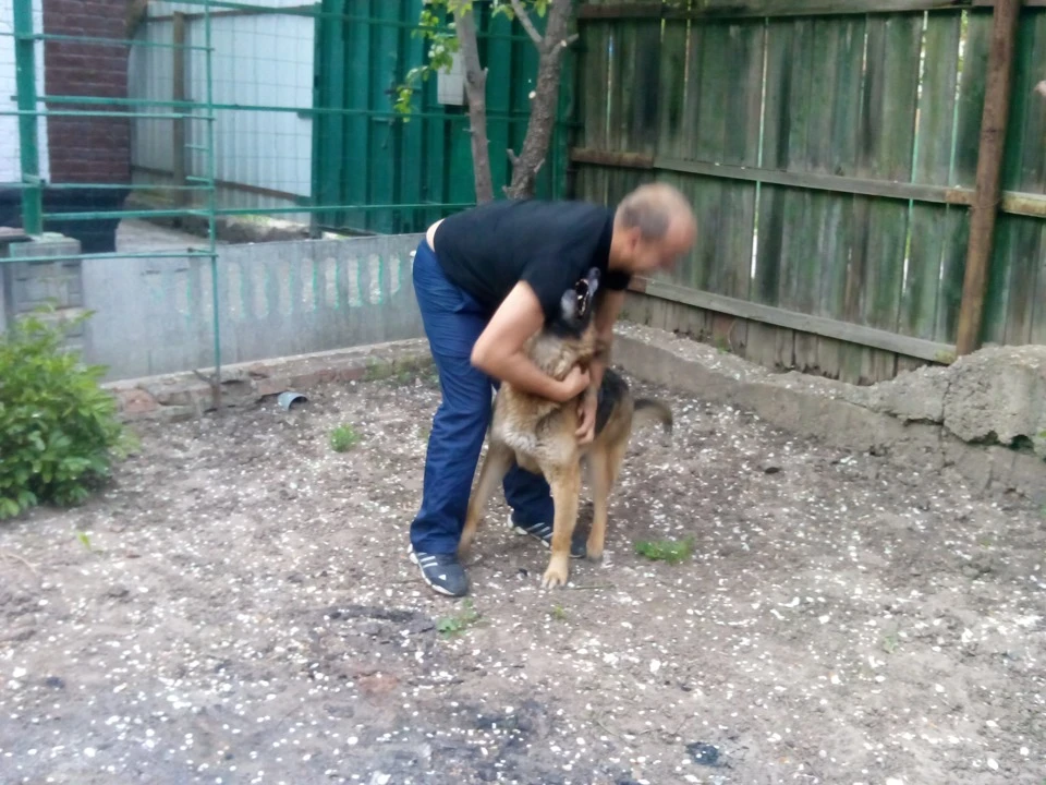 Ті, що піднімають настрій... Частина 2.