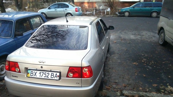 Помив ластівку =) 5