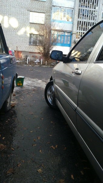 Помив ластівку =) 3