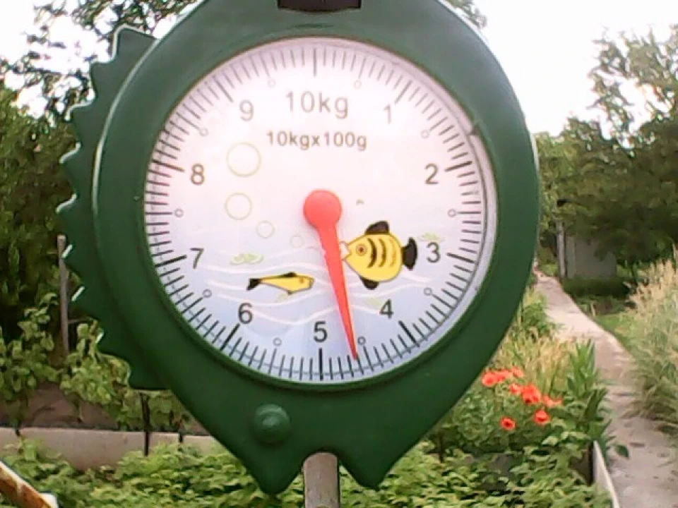 у проміжках між роботою