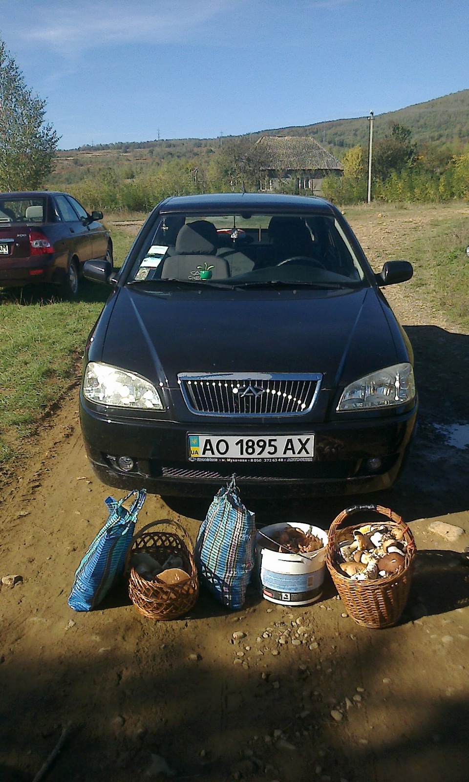 За грибочками) 3