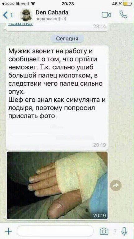 Веселий БЖ = D 3
