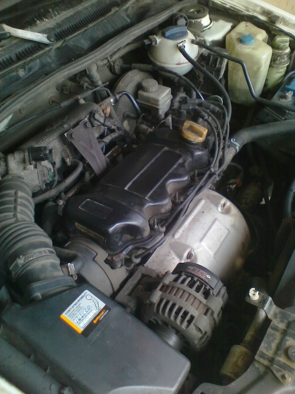 She`s Alive! 3
