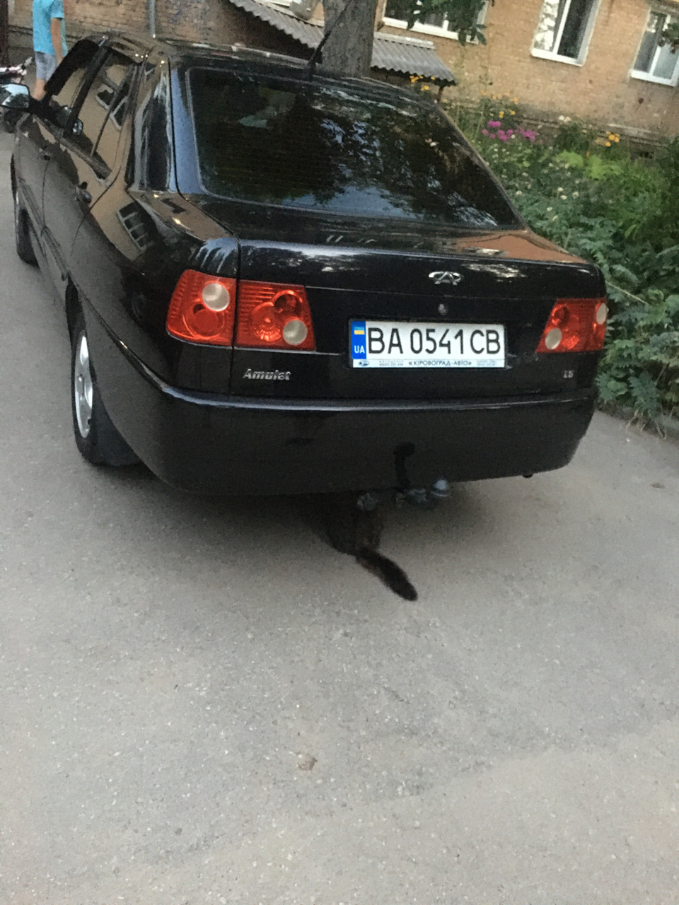 Догляд за авто 2