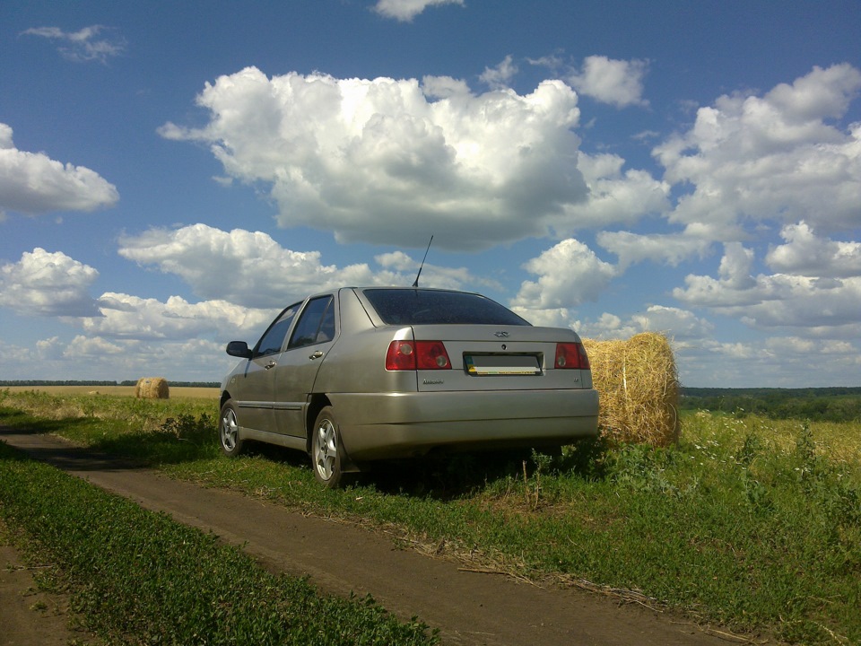 Літня фотосесія 4