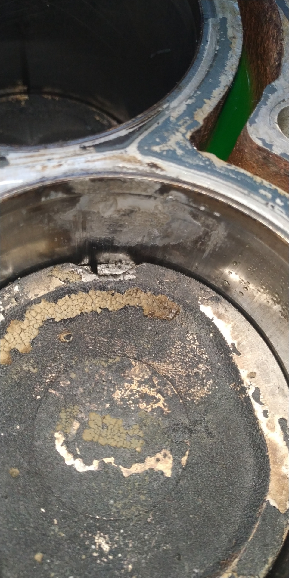 Привіт капіталочка 3