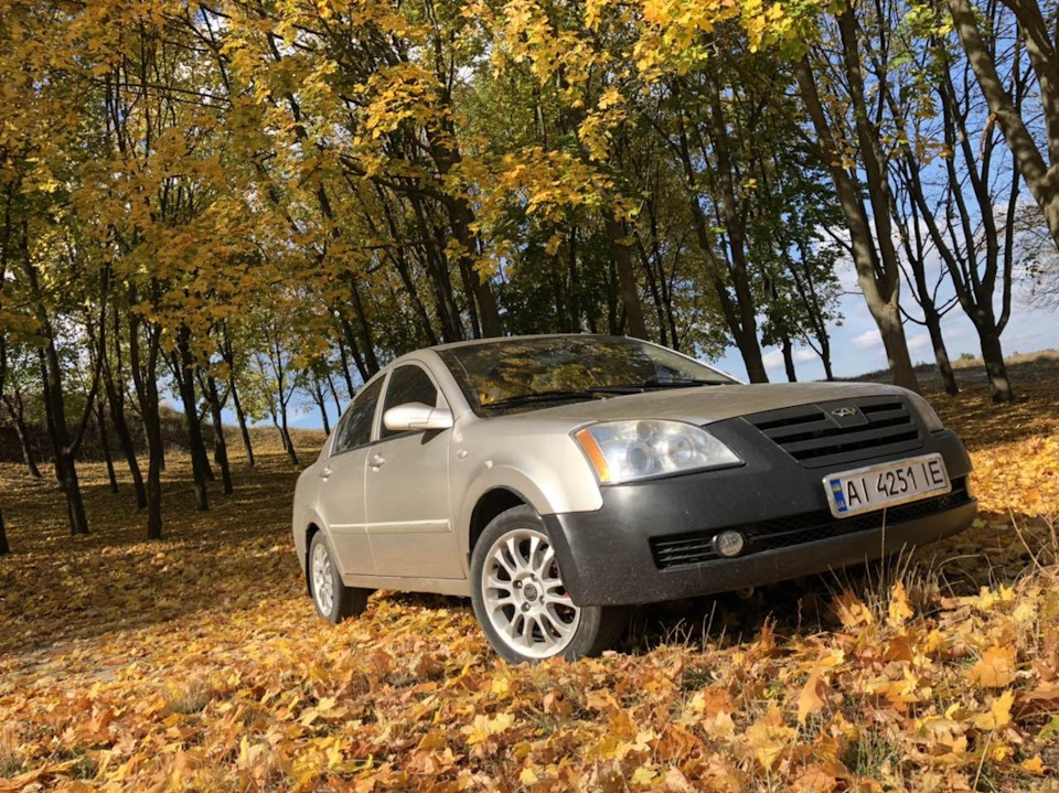 Золота осінь 🍁🍂☀️ 3