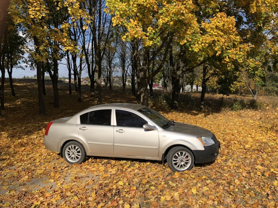Золота осінь 🍁🍂☀️ 4