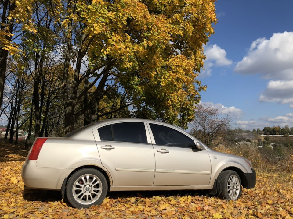 Золота осінь 🍁🍂☀️ 2