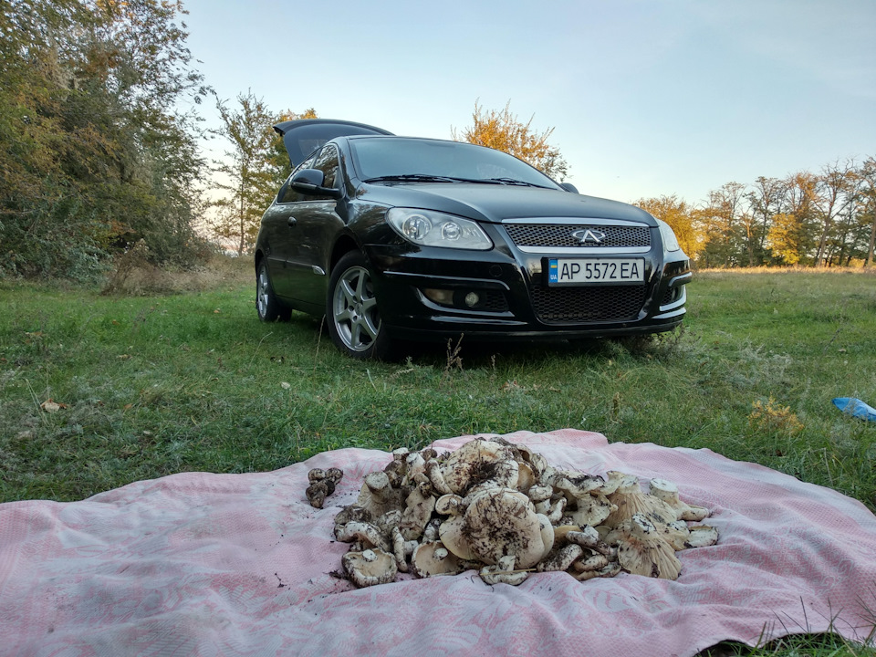Уехала моя чери 1