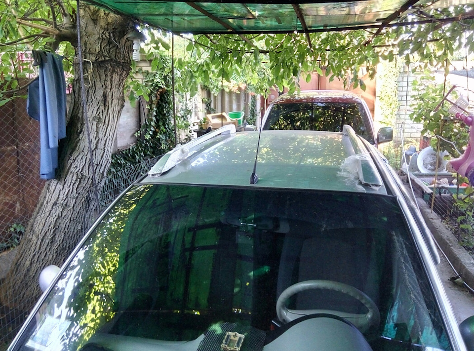 Знову в строю 1